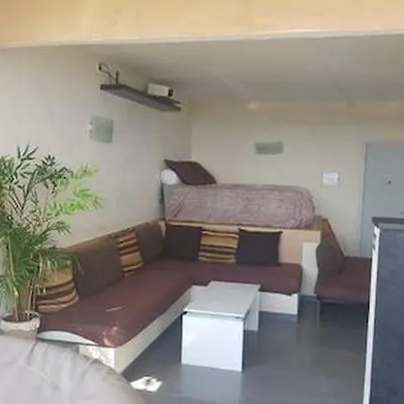 Vue Et Montagnes Jacuzzi 300m Plages אז'אקסיו